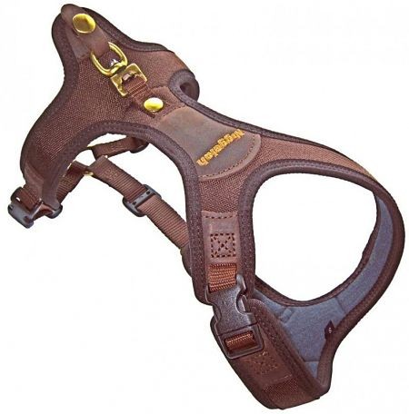 Niggeloh Hundeführergeschirr Follow light