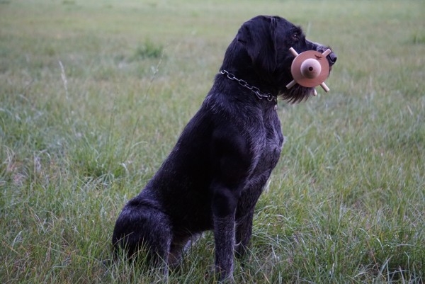 Apportierbock klein Waidwerk