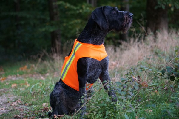 Hundewarnweste