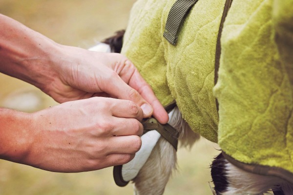 Hundemantel Hundetrockenmantel SupremePro