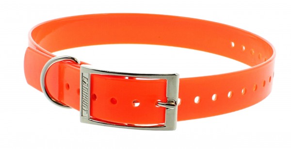 Halsband Hundehalsung 25 mm