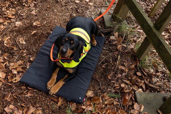 Hunter Beheizbare Hundematte