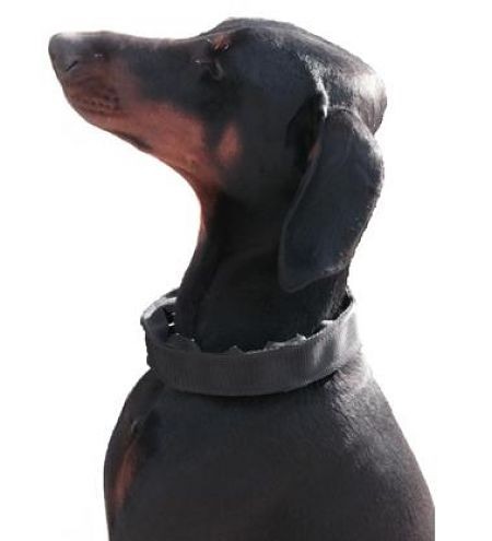 Verkleidung für 3,2mm Stachelhalsbänder