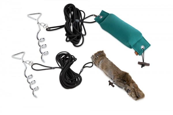 Firedog Running Rabbit Kaninchen