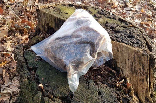 Hasenbalg eingeschweißt