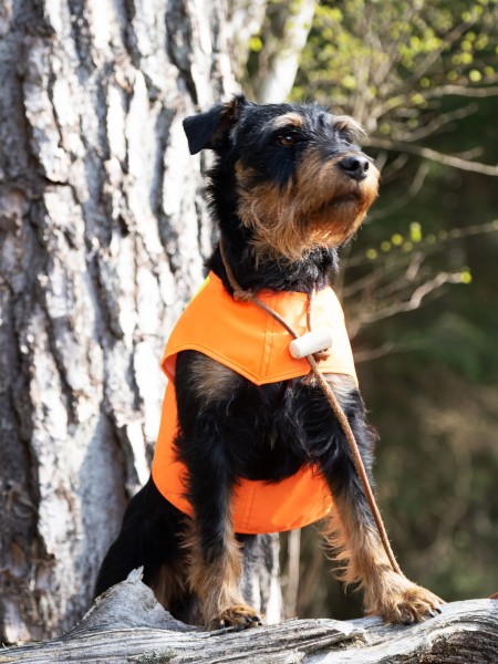 Hundewarnweste