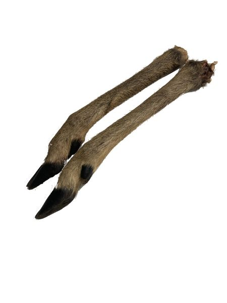 Rehwildschalen Getrocknet