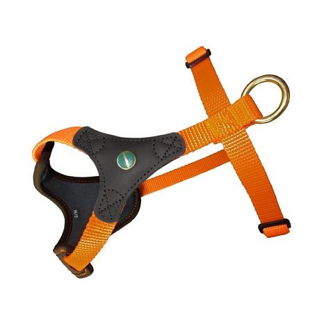 Niggeloh Follow START