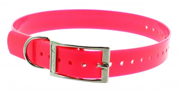 Halsband Hundehalsung 25 mm