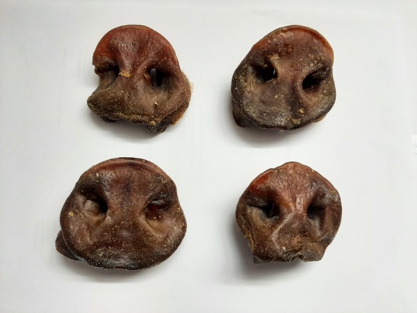 Schweinenasen Trocken