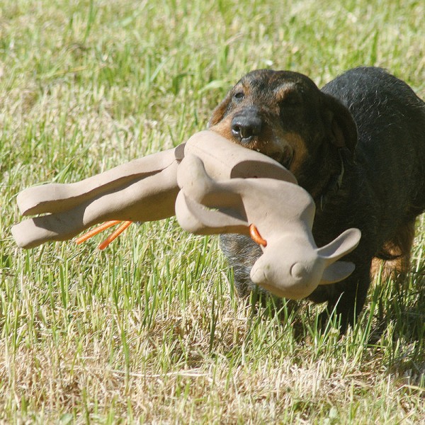 Hasen Kaninchen Dummy