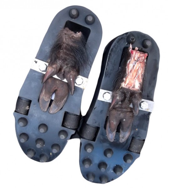 Fährtenschuh Wasgau PU