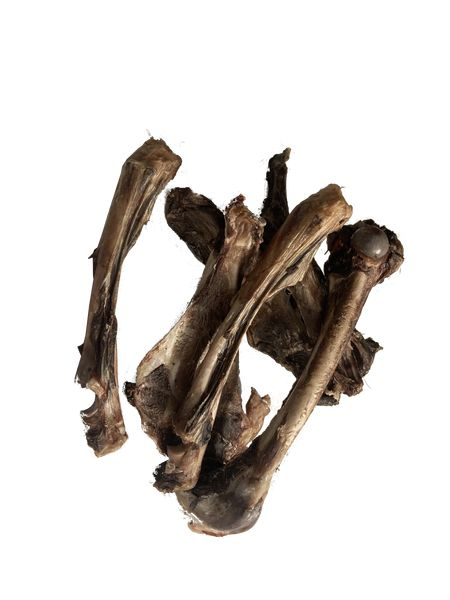 Wildknochen Getrocknet
