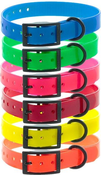 Halsband XTREM mit Doppelstegschnalle