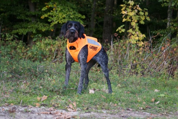 Signalweste Treibjagdweste Dornenschutz
