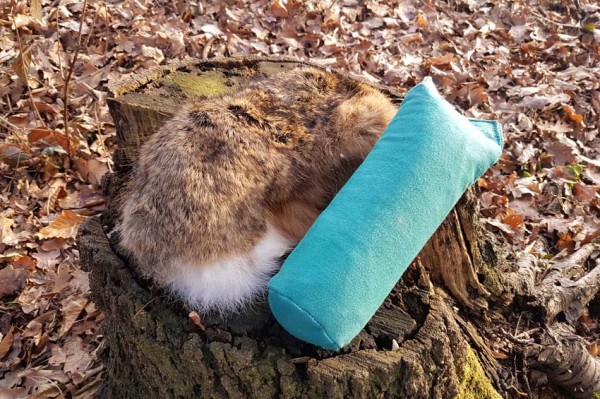 Hasenbalg mit Apportier-Dummy