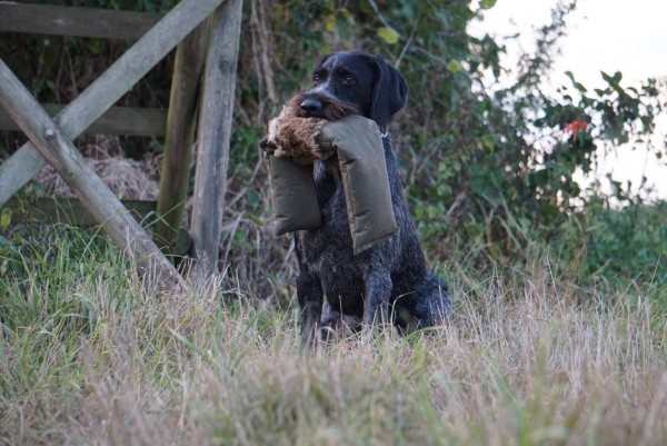 Dummy 3-teilig khaki mit Kaninchenfellring