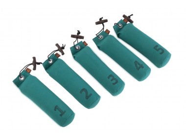 5-er Set Standard Dummy 500g grün