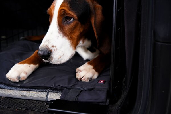 Hunter Beheizbare Hundematte