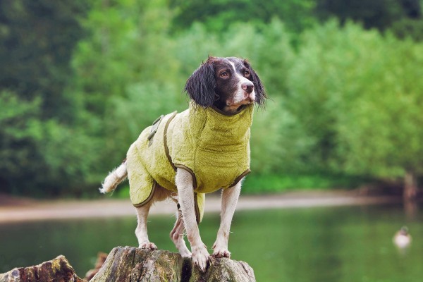 Hundemantel Hundetrockenmantel SupremePro