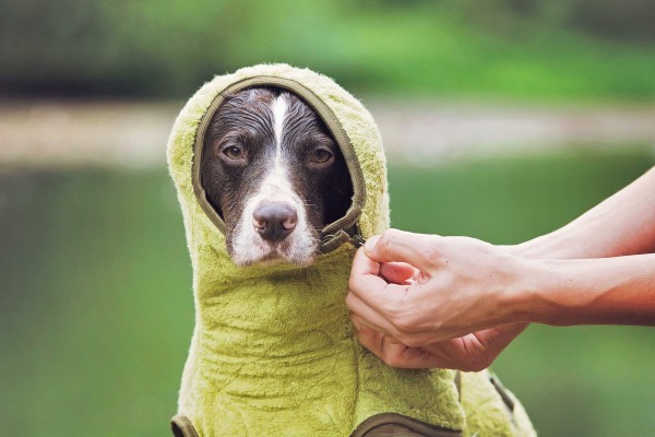 Hundemantel Hundetrockenmantel SupremePro