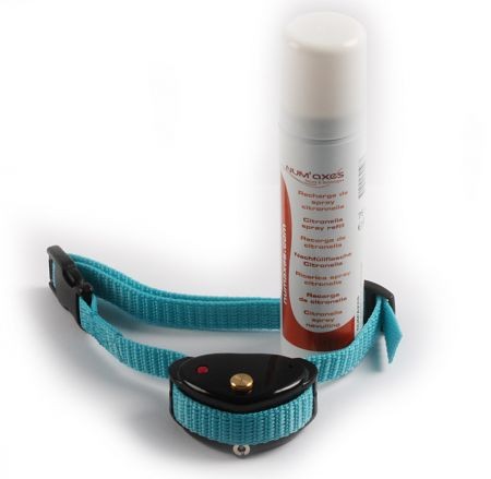 Antibell Canicom Spray schwarz neutraler Duft