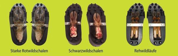 Fährtenschuh Wasgau PU