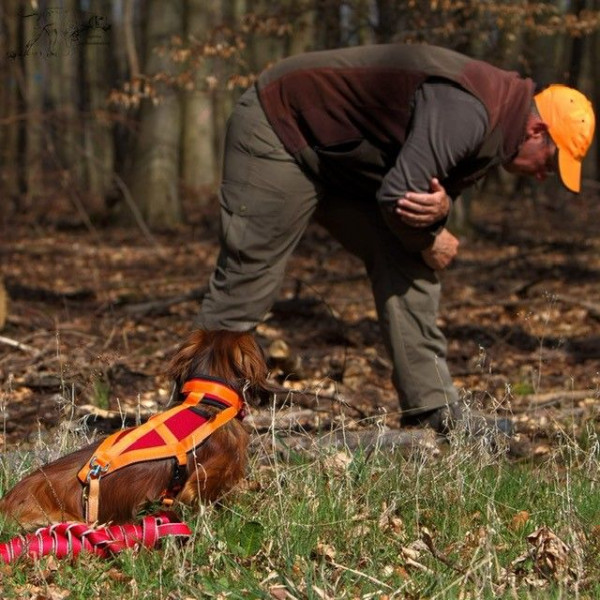 TECKEL-SCHWEISSGESCHIRR